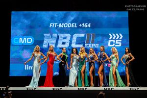 FIT-MODEL +164 раунд 2